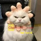 Giảm giá Sách Cambridge English Empower Pre-Intermediate Workbook with Answers with Downloadable Audio. Sách đẹp giá tốt, sẽ tiếp tục ủng hộ shop 🥳🦗🦗🦗🦗🦗🦗🦗🦗🦗🦗🦗🦗🦗🦗🦗🦗🦗.. 