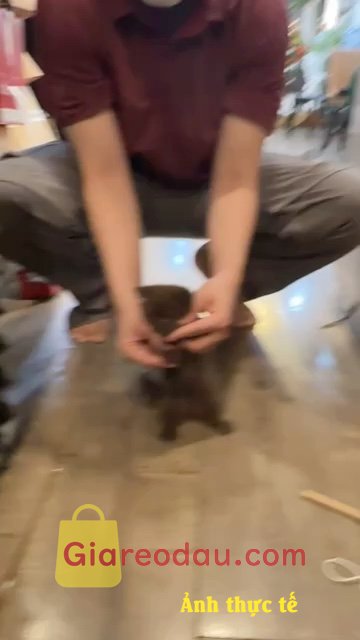 Giảm giá [Mã giảm 27%] Sách Nghệ Thuật Tư Duy Phản Biện. Sách hay, bao bìa, nội dung đều rất ok. Nên mua nha mn, trên cả tuyệt. 